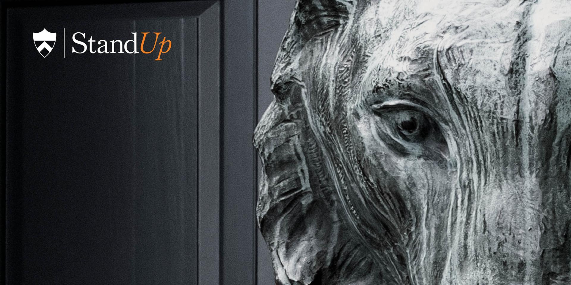 A close up of the right half of the Tiger statue's face.