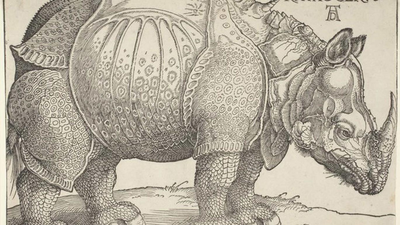 Albrecht Dürer Rhinoceros
