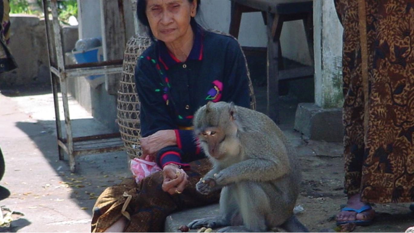 woman sitting with monkey