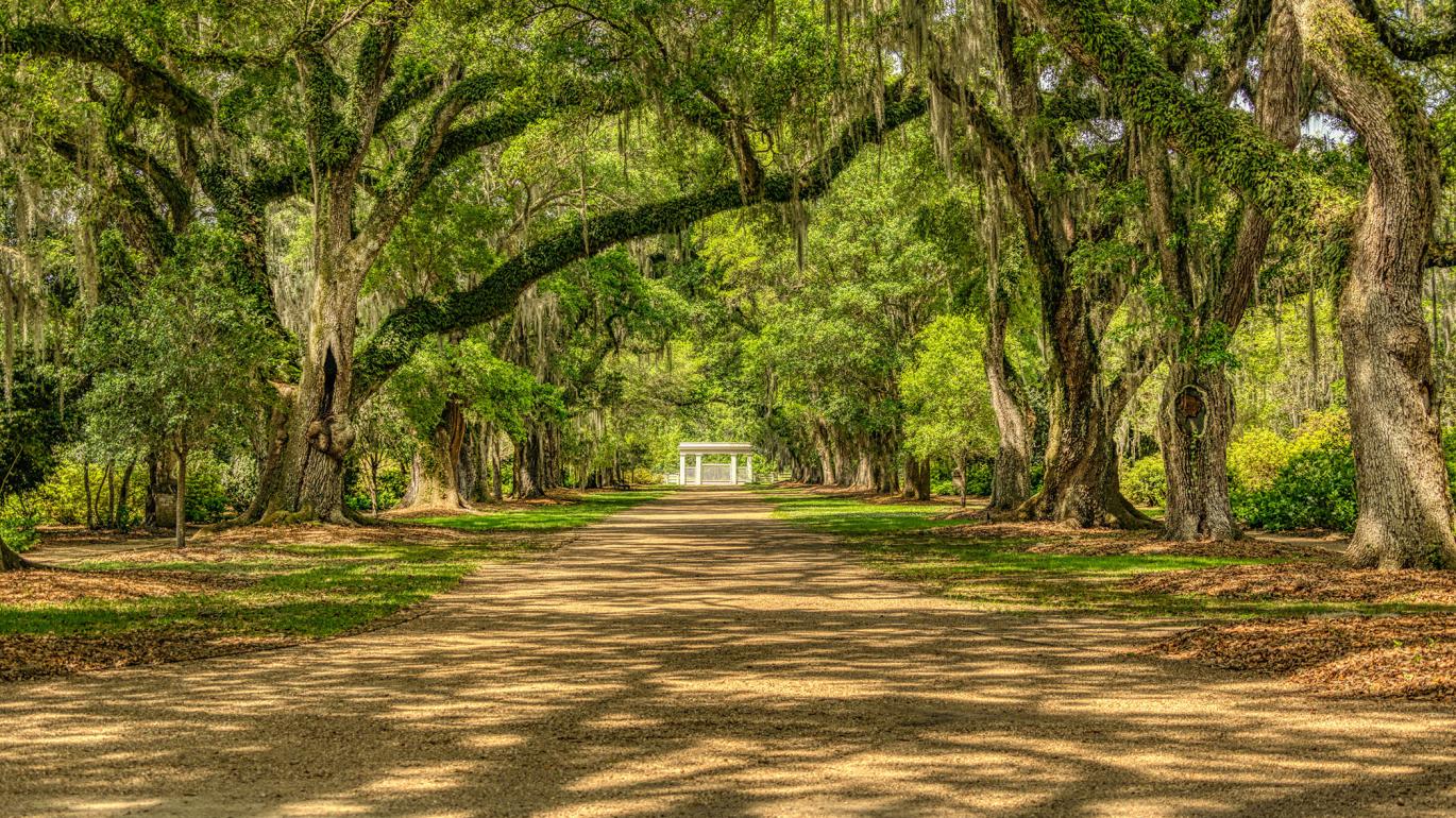Plantation