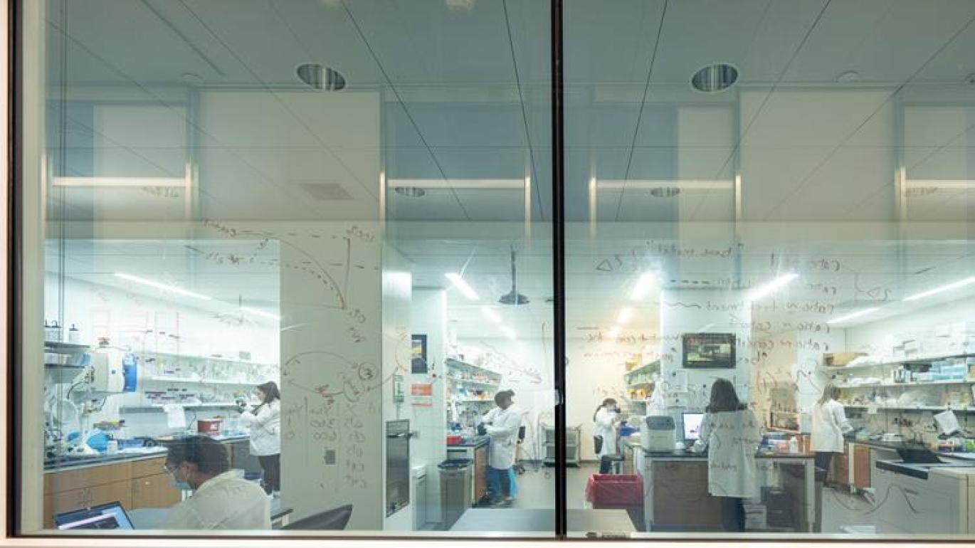 laboratory photo from Princeton Neuroscience Institute