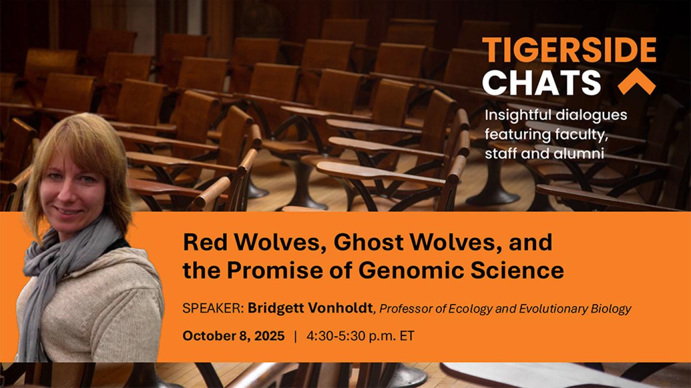 A TigerSide Chat banner with a silhouette of Bridgett Vonholdt