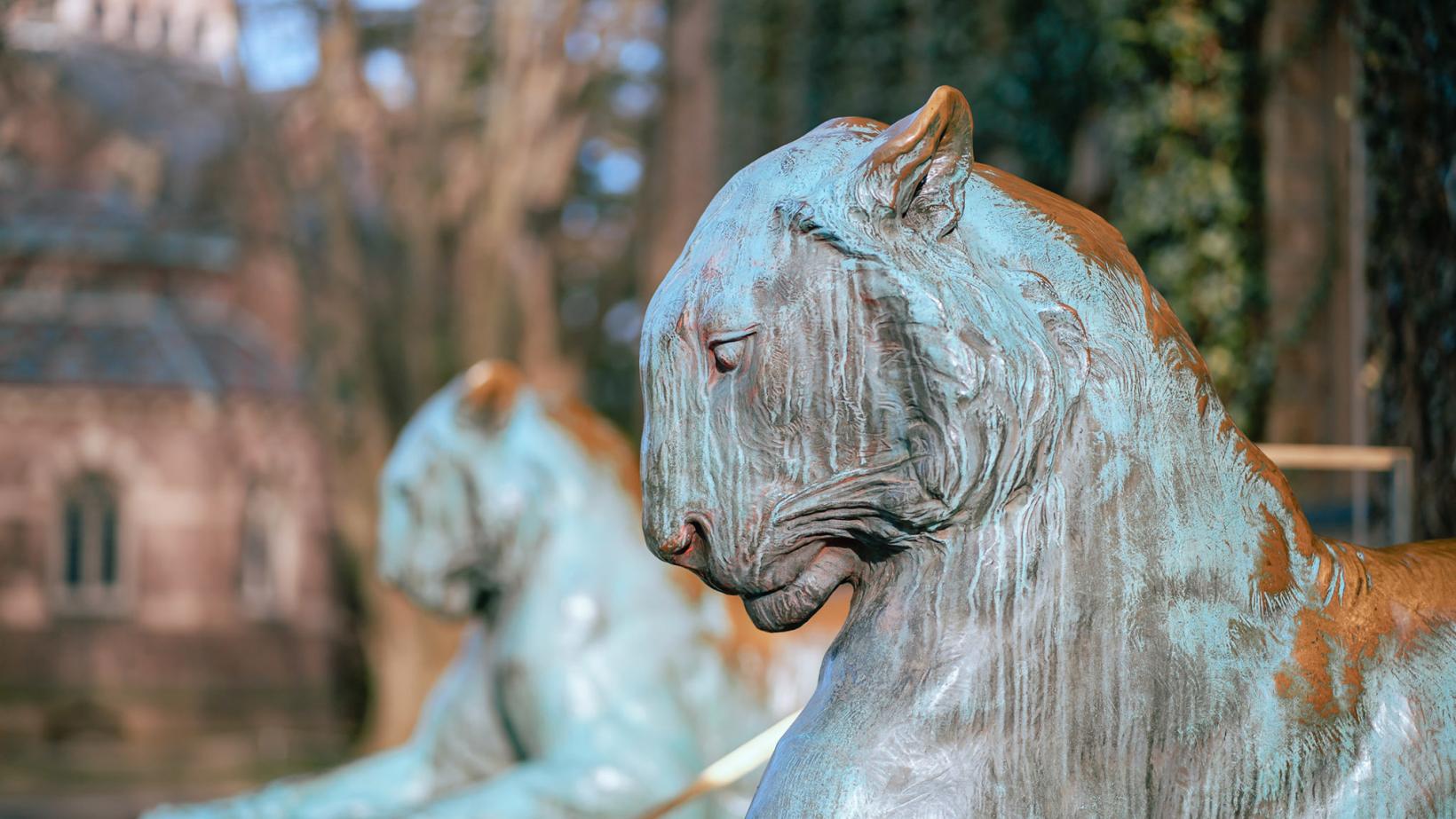 Side portrait of the Nassau Hall tigers on a sunny day