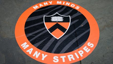 Many Minds, Many Stripes logo