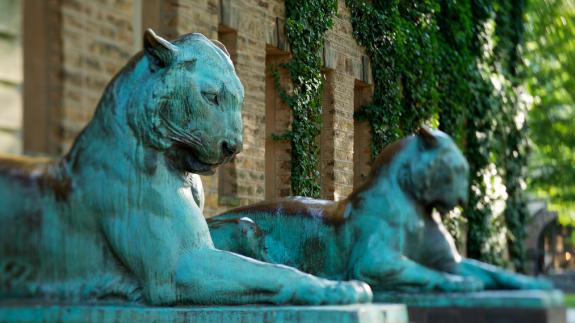 Tiger statues outside Nassau Hall