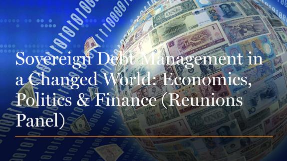 Sovereign Debt Management panel poster
