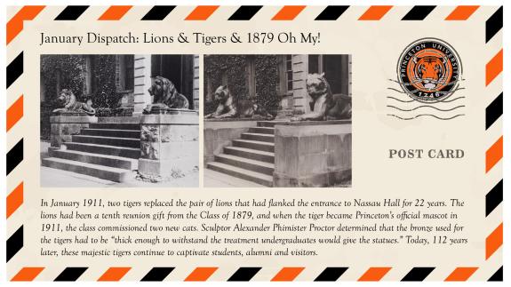 Postcard about Tigers at Nassau Hall 