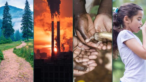 Taplin montage art for Bill Frist talk