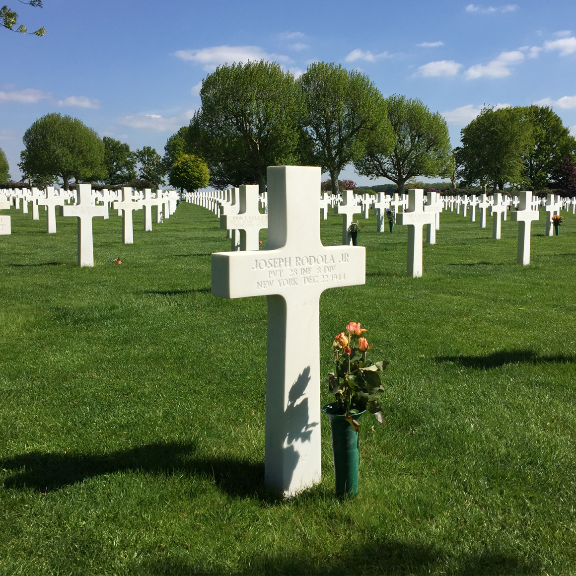 Cemetery with crosses in Rhine