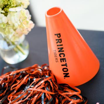 Princeton Reunions Table 