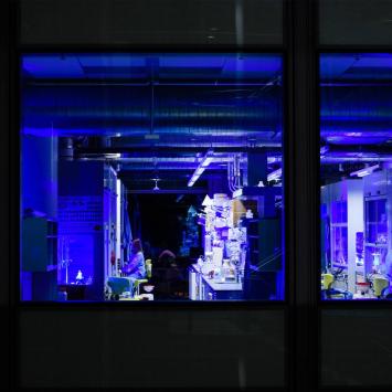 People working in lab lit by blue light