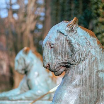 Side portrait of the Nassau Hall tigers on a sunny day