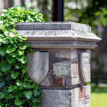 Ivy climbing up a campus pillar
