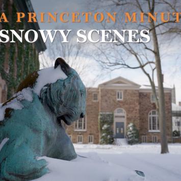 One of the statue tigers in front of Nassau Hall is covered with snow. 