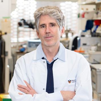 Image of Professor Joshua Rabinowitz in laboratory setting