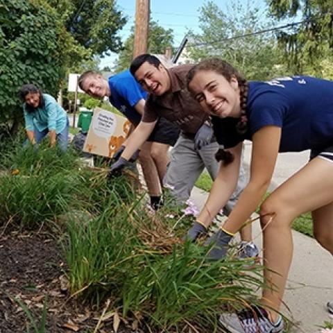 Community Action participants weeding