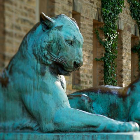 Tiger statues outside Nassau Hall