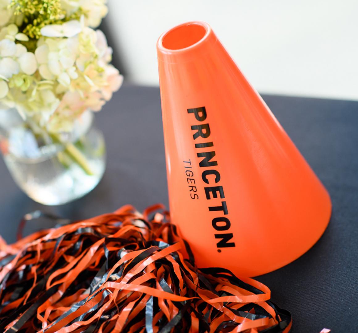 Princeton Reunions Table