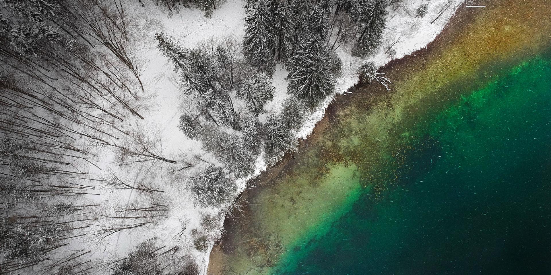 Coastline
