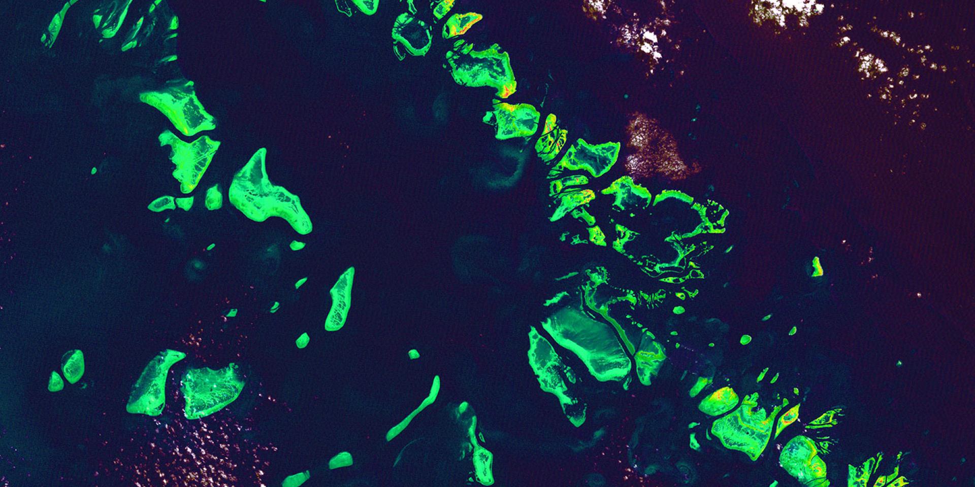 Bioengineering Venture Forward