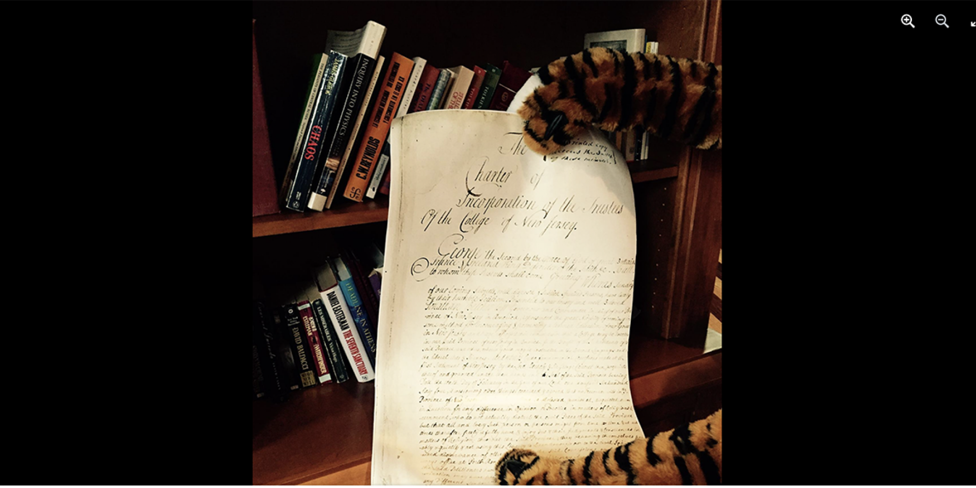 TIger paw holding Princeton's Charter
