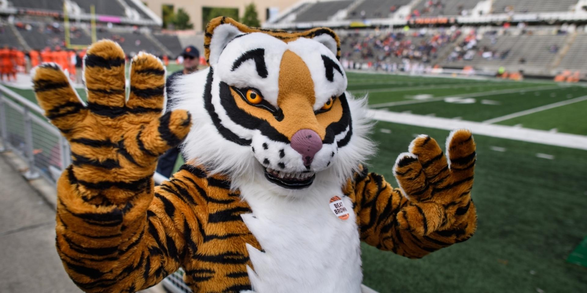Tiger mascot at stadium
