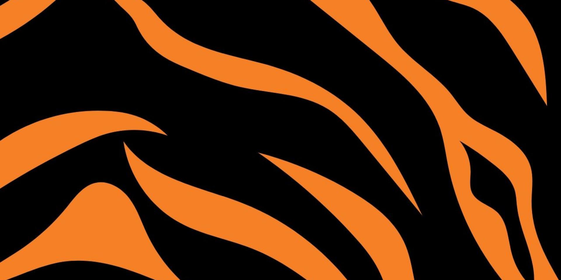 Tiger stripes