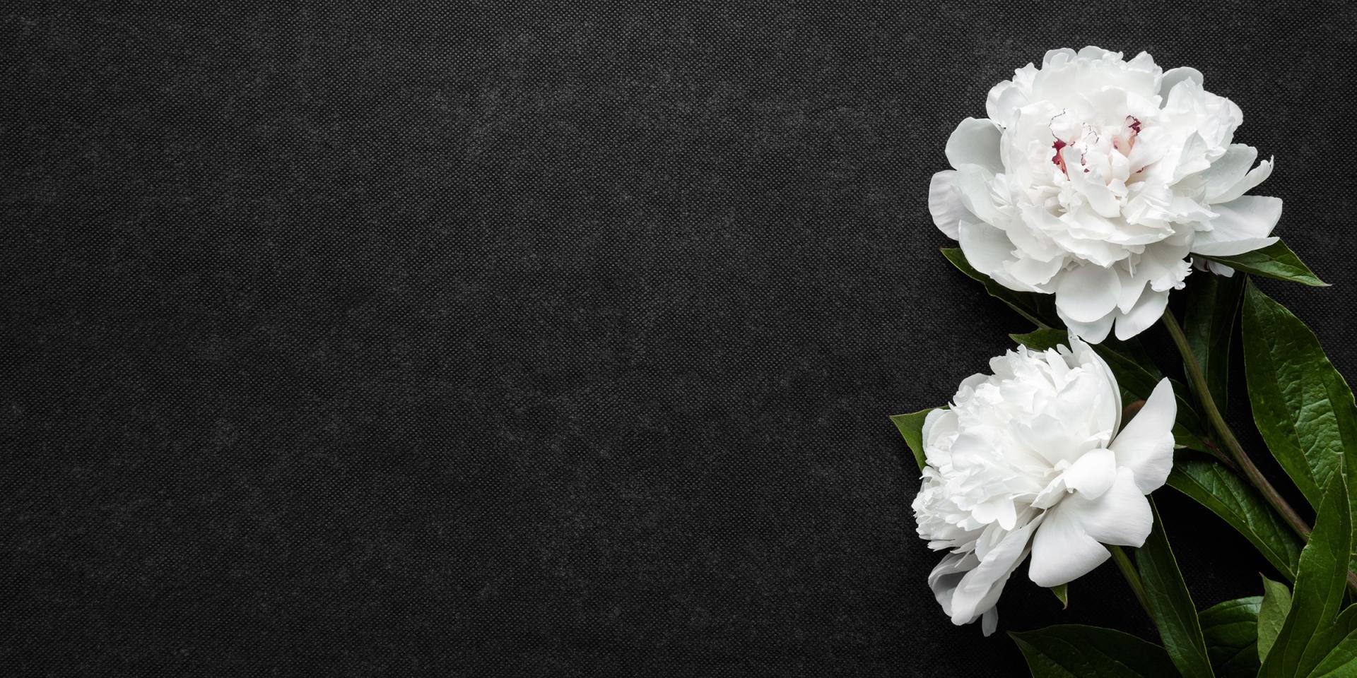 white carnations