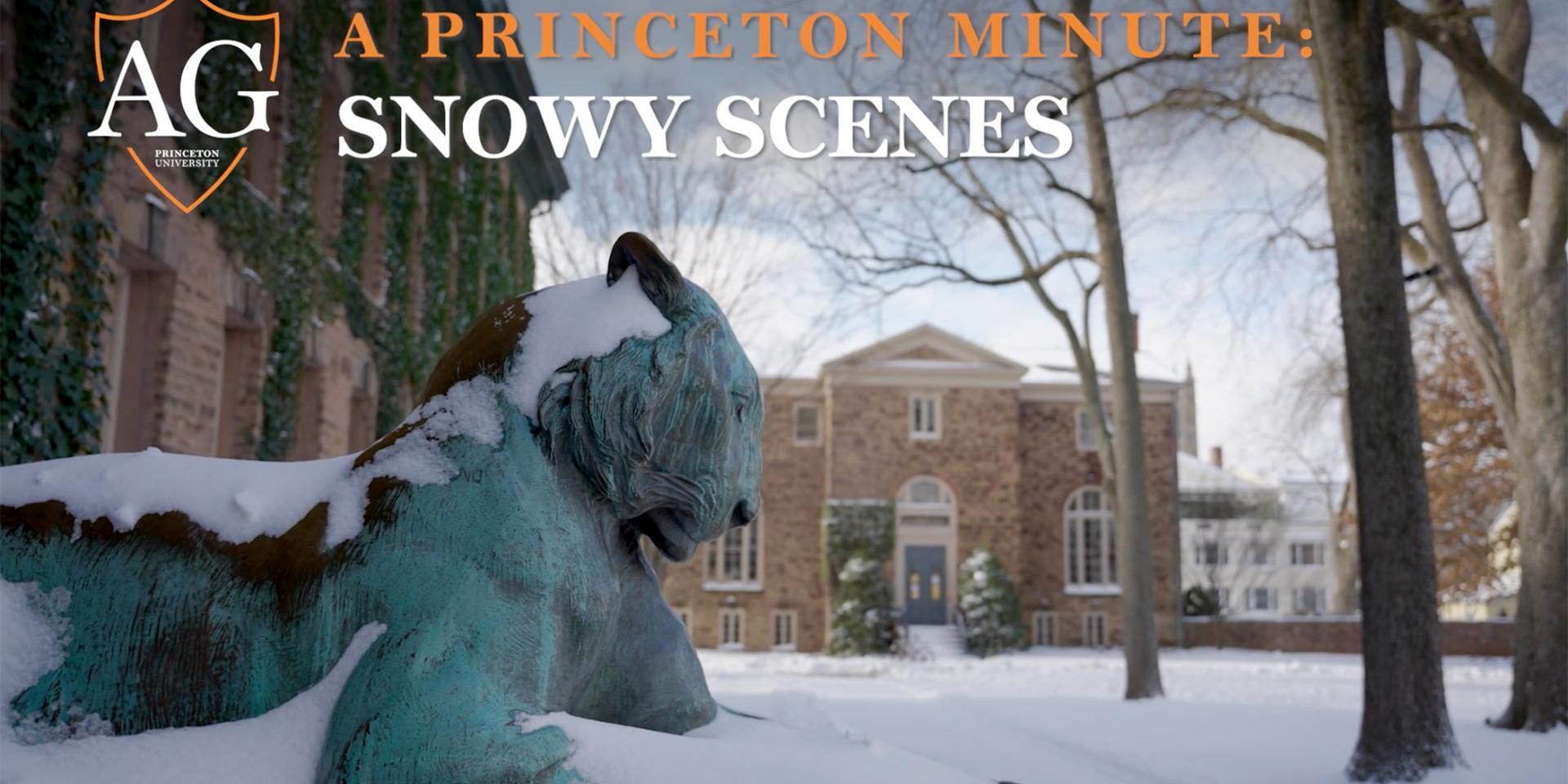One of the statue tigers in front of Nassau Hall is covered with snow.