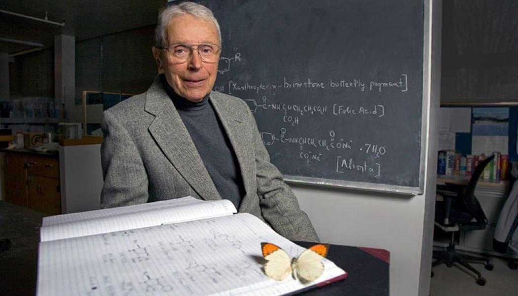 Professor Edward C. Taylor