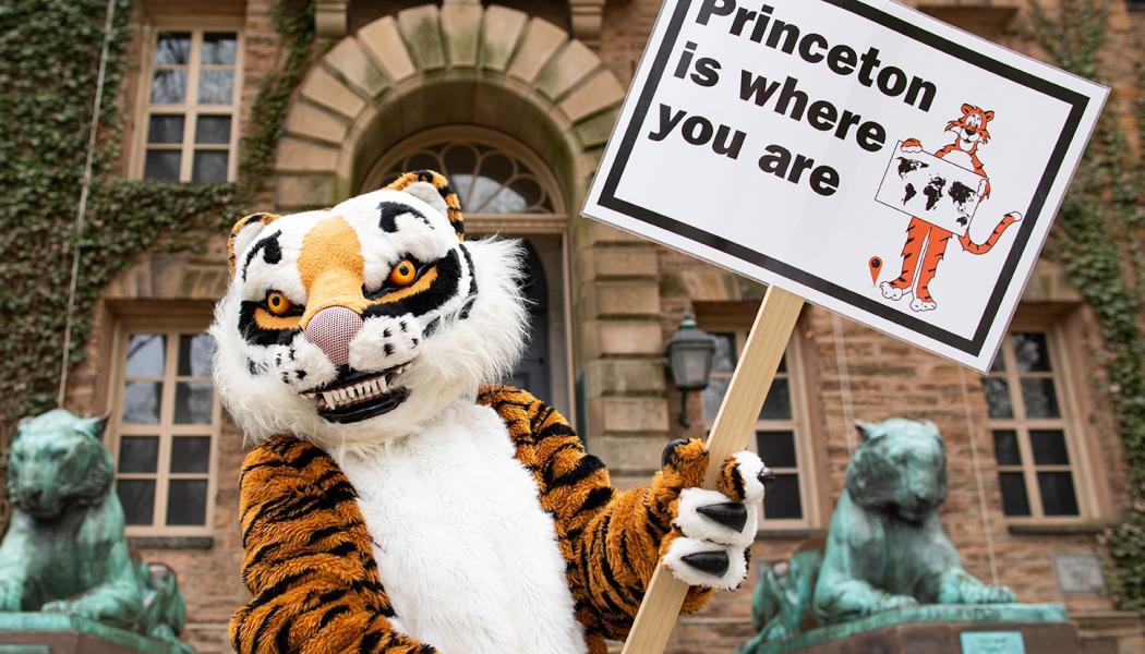 Tiger with sign that says Princeton Is Where You are