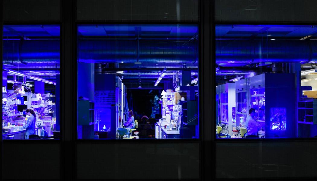People working in lab lit by blue light