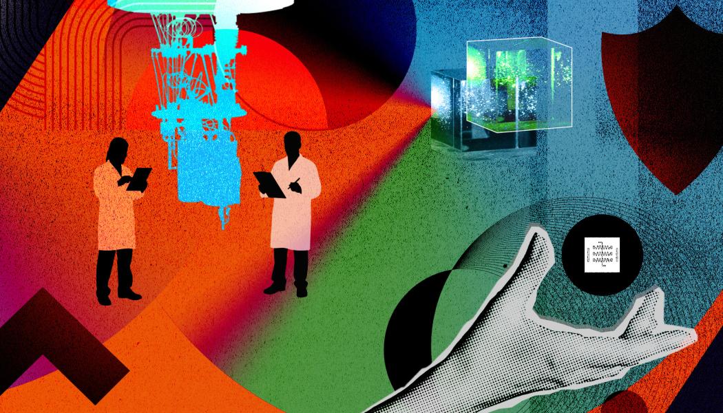 A colorful collage of quantum science illos