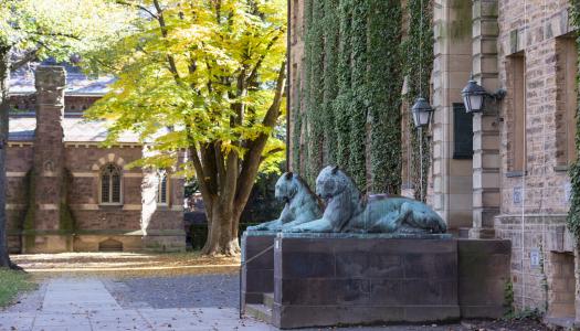 Nassau Hall tigers