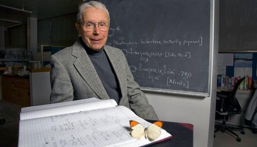 Professor Edward C. Taylor