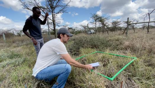 Rob Pringle conducting fieldwork in Kenya