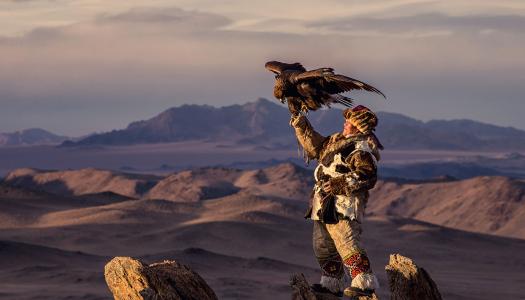 Eagle hunter in Mongolia