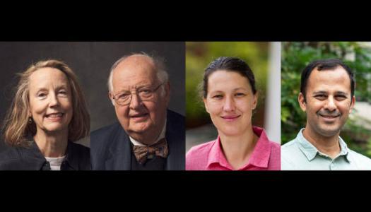Thinking Forward Public Health