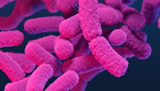 Microscopic view of pink colored antibiotics