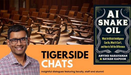 TigerSide Chat: AI Snake Oil