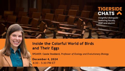 Cassie Stoddard TSC event