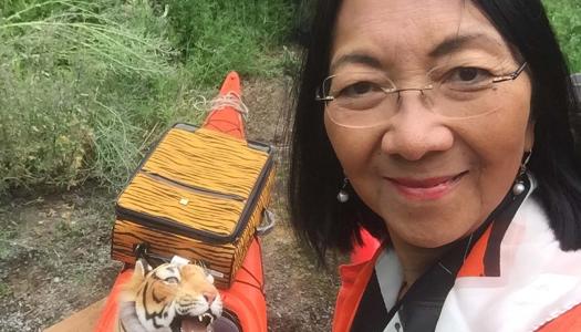 Elaine Chan headshot with a stuffed tiger in an orange kayak behind her