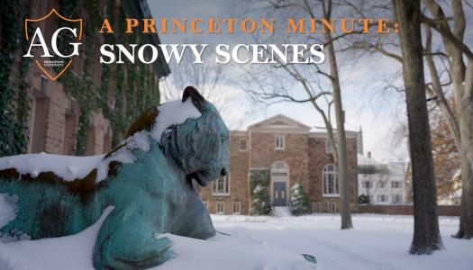 One of the statue tigers in front of Nassau Hall is covered with snow.