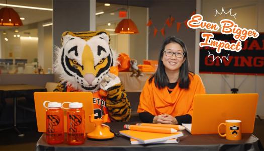Deb Yu and Tiger working on their laptop computers.