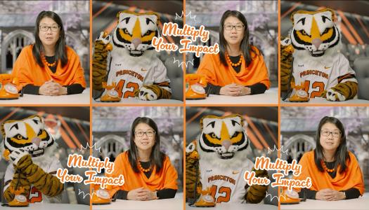 Deb Yu and the Tiger mascot chatting about Annual Giving