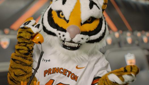 Tiger mascot holding an orange phone to his ear. 
