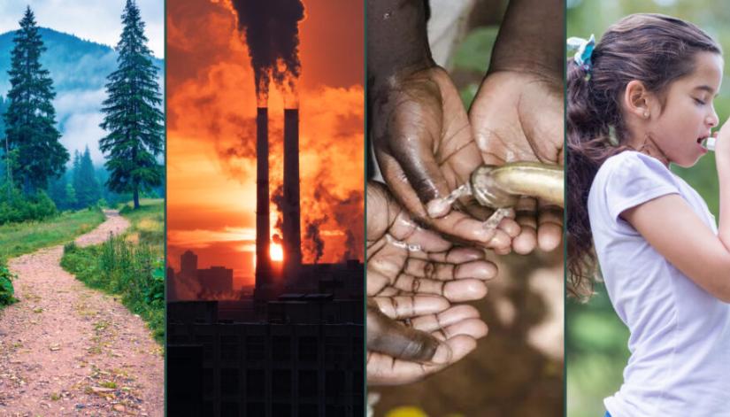 Taplin montage art for Bill Frist talk