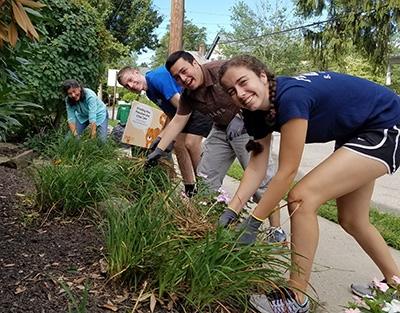 Community Action participants weeding