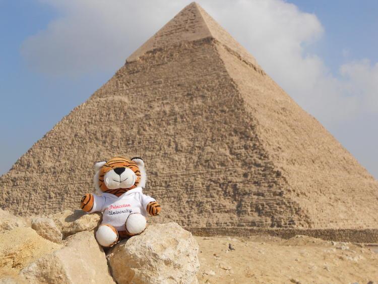 Tiger stuffed animal in front of pyramids in Egypt