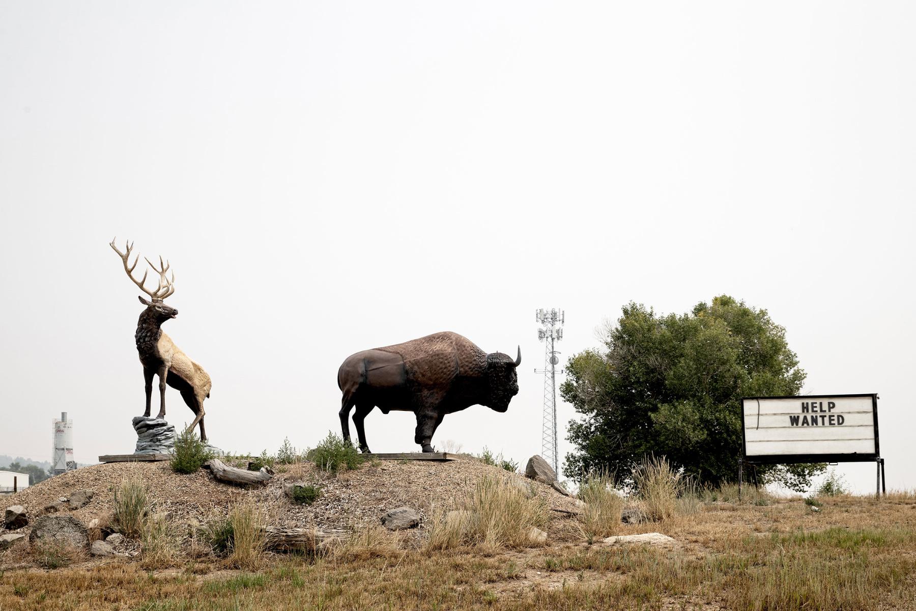 Animal Sculptures, Gravel Plant, Cell Tower, Sign • Craig, Colorado